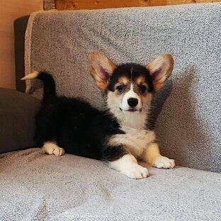 короткие видео под современные тренды