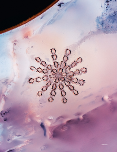 Тренд-аналитика