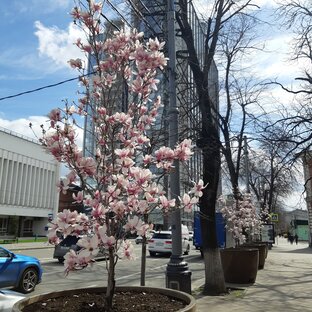 Город знакомый до слёз