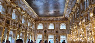 Дворцы Петербурга и окрестностей