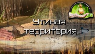 Проект: "Утиная территория"