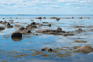 На Соловки!