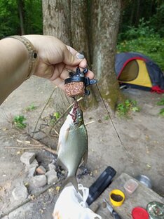 Рыбалка - как отдельная жизнь🐟