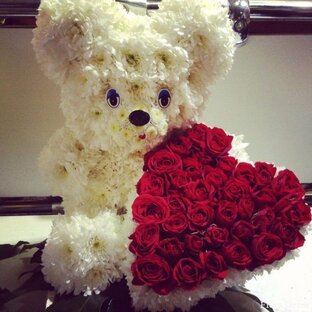 эти пушистики !