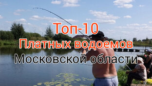 ТОП-10 Платников МО