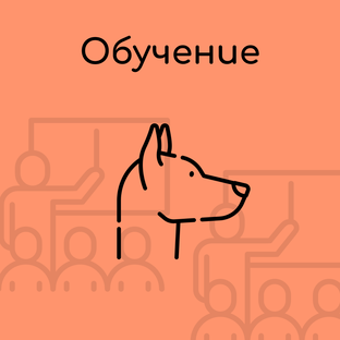 Воспитываем носиков