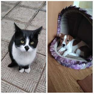 Жизнь 