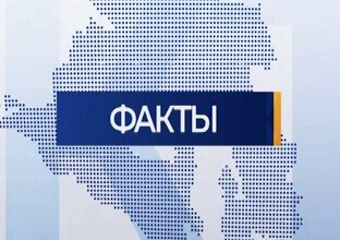 Факты, советы