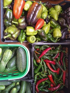 Сад и огород 