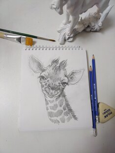 Рисунки животных