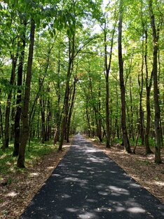 Разбор полётов