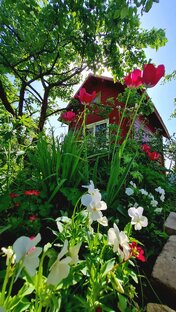 Строим домик