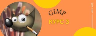 3 курс  гимп