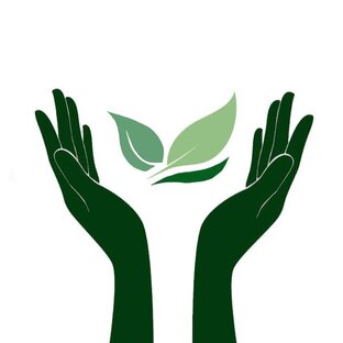 Лети, лепесток! 