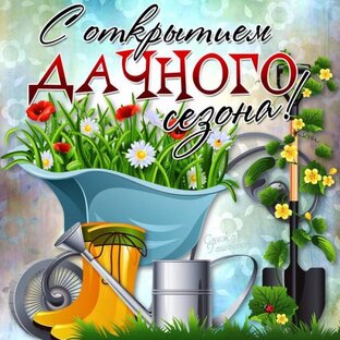 Лето, дача и мы.