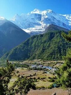 Индия. Путешествие в Гималаи