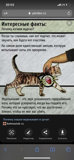 Кошечки Автокутюр-школа детейлинга-Полировка 