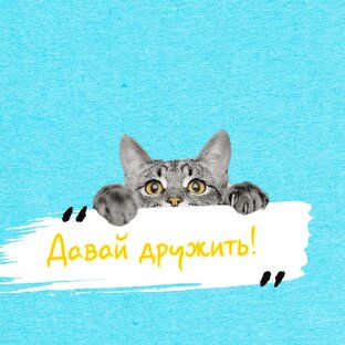 Самопиар