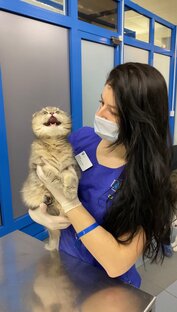 Что с ним????