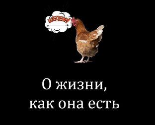 Житейская подборка