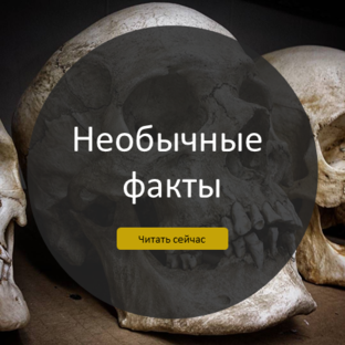 Необычные факты о смерти