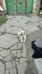 письма от читателей