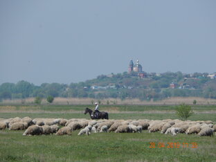 Малые поселения Нижнего Дона