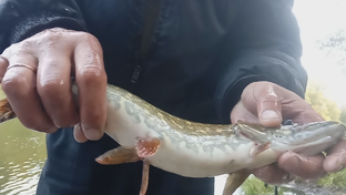 Рыбалка-Фото Видео Обзоры 