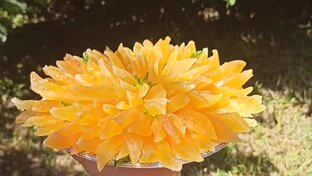 Цукаты,Мармеладки,Сухофрукты