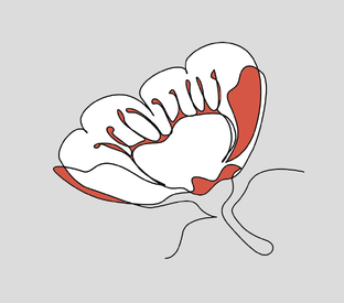 Начинающим