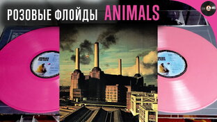 Обзоры пластинок Pink Floyd