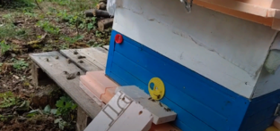 Пчеловодный сезон 2023 год 