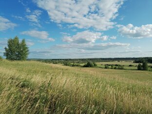 ТАМБОВСКИЙ ИППОДРОМ.