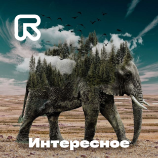 Интересное