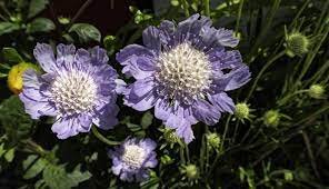 Еда и напитки