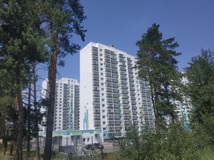 Выбор.