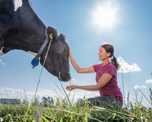 Здоровье и благополучие КРС