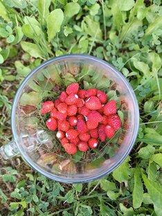 Терапевтические сказки
