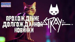 Игра про кота Stray