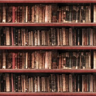Книги. Курс общественных наук