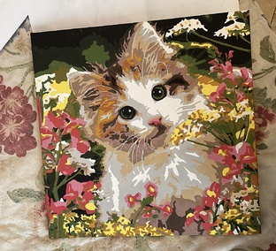 Картины по номерам 🖼️