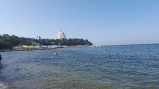 Короткие ролики