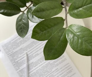 Всё о самообразовании 