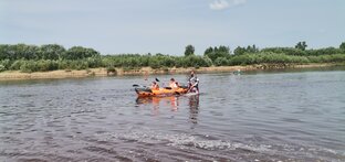 Выживальщики 