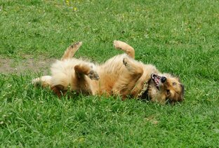 Житейские истории