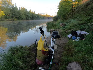 История- Рыбака и Кошки