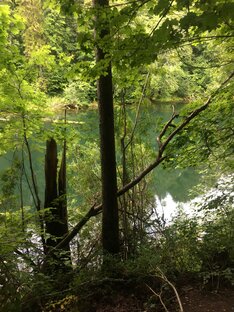 Знакомство с Ленинградской областью