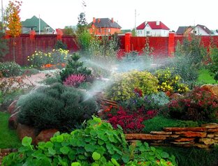 Поливаем сад правильно