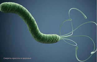 Хеликобактер