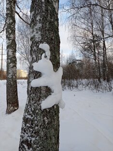 Зима